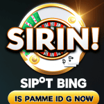 Big Spin Bonus: Play & Win at Online Casino