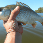 Big River Fishing: Reel in Big Prizes