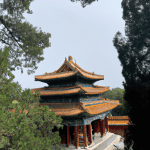 Explore Ancient China for PrizesDragon Palace