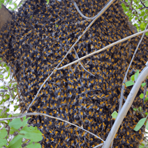 Wild Swarm Slot How Many Bees |