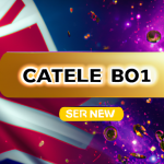 CoinFalls.com | NetBet: UK Casino 2023 - Phone Bill or Credit