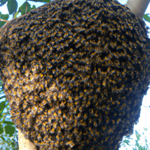 Wild Swarm Slot How Many Bees |