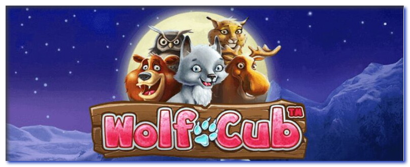 Wolf Cub Casino