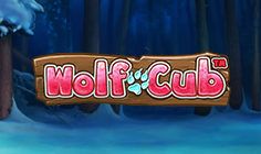 Wolf Cub Casino