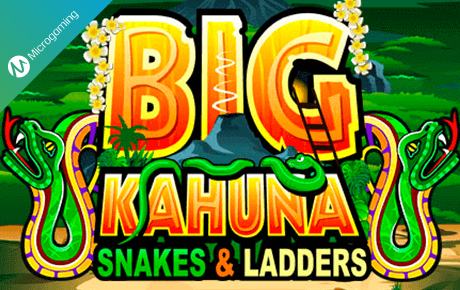 Big Kahuna Snakes And Ladders Slot