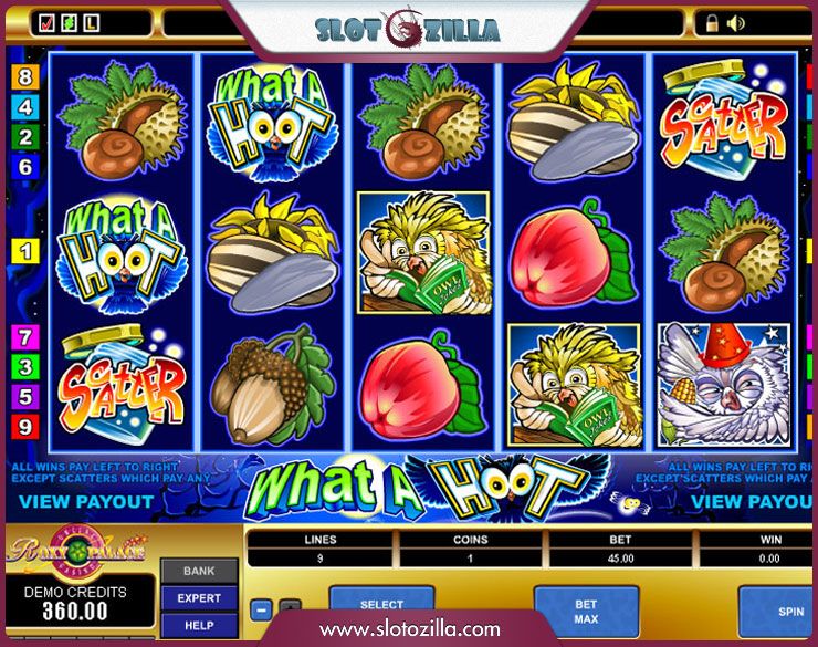 What A Hoot Slot Gaming