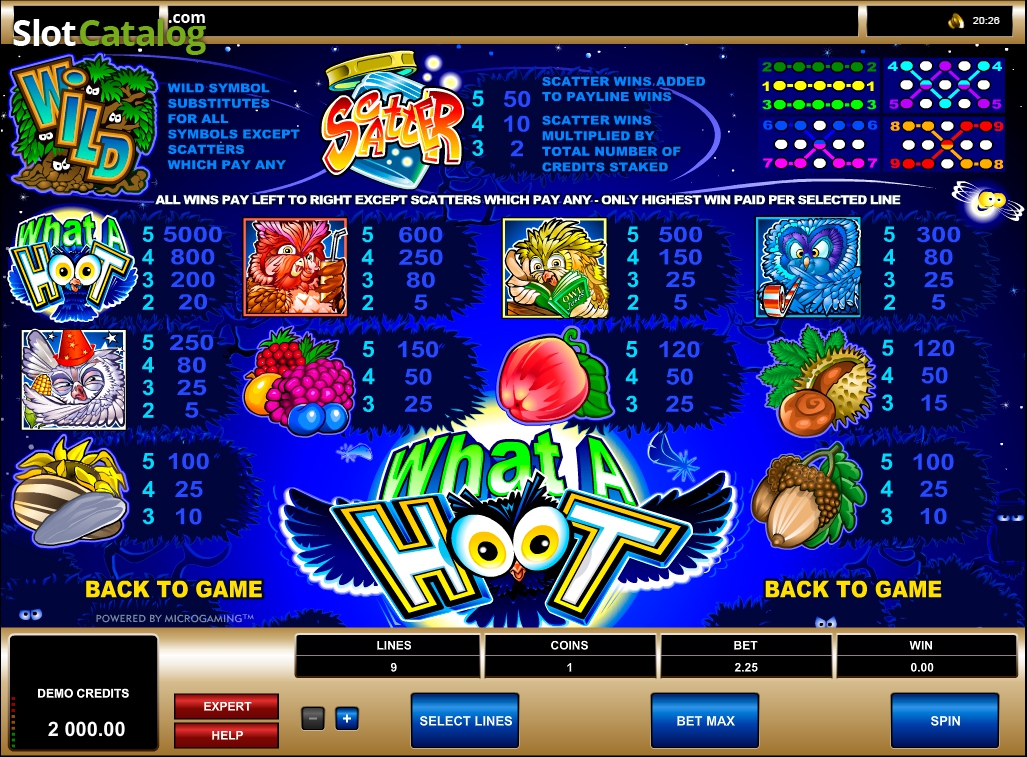 What A Hoot Slot Game Gaming