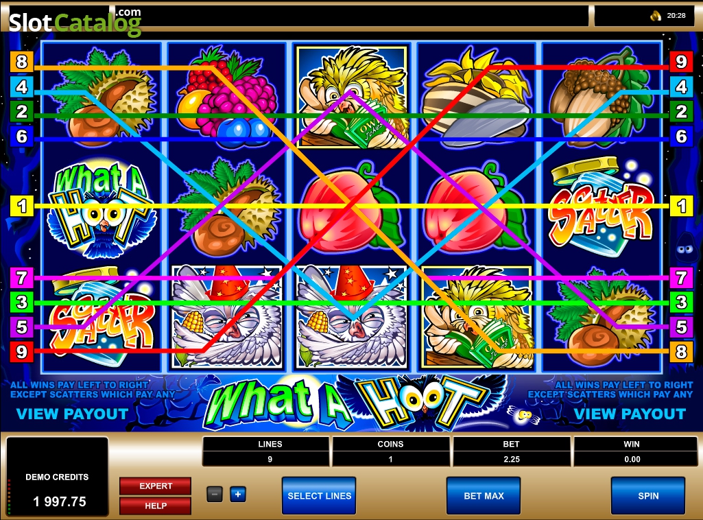 What A Hoot Slot Game Gaming