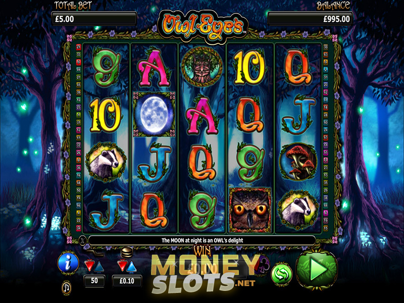 Owl Eyes Casinos Gambling