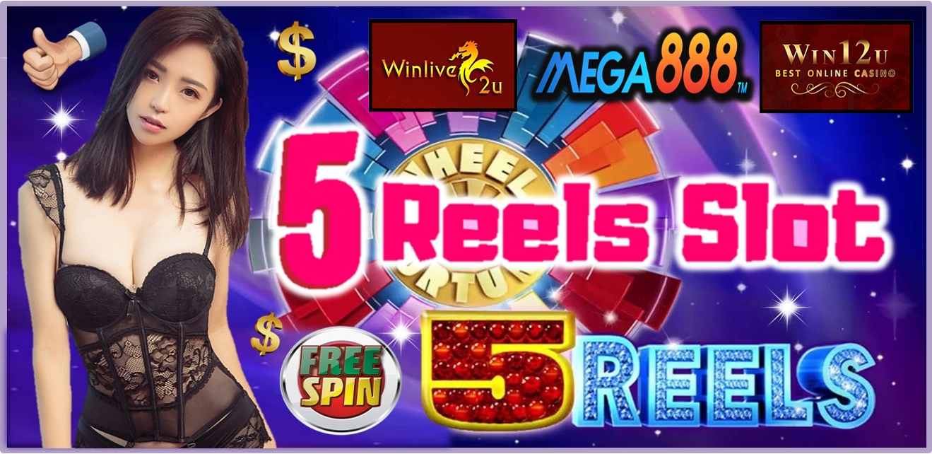 5 reel