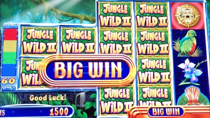 Jungle Wild Slots Gambling