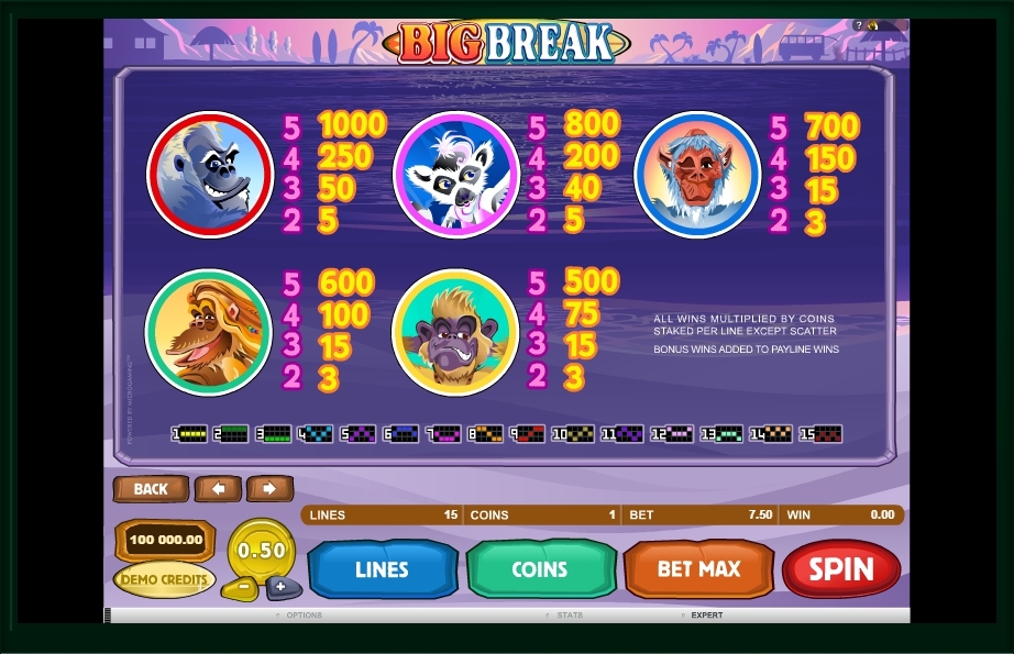 Big Break Slot Gaming