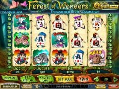 Forest Of Wonders Slot Gaming