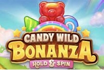 Fruity Wild Bonanza Hold & Spin Slot Gaming