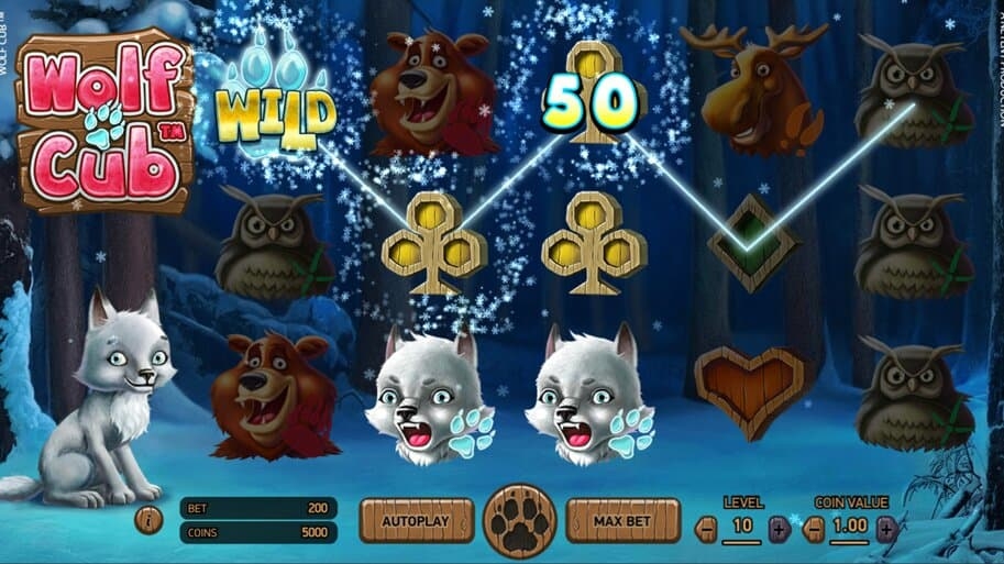 Wolf Cub Slots Gambling