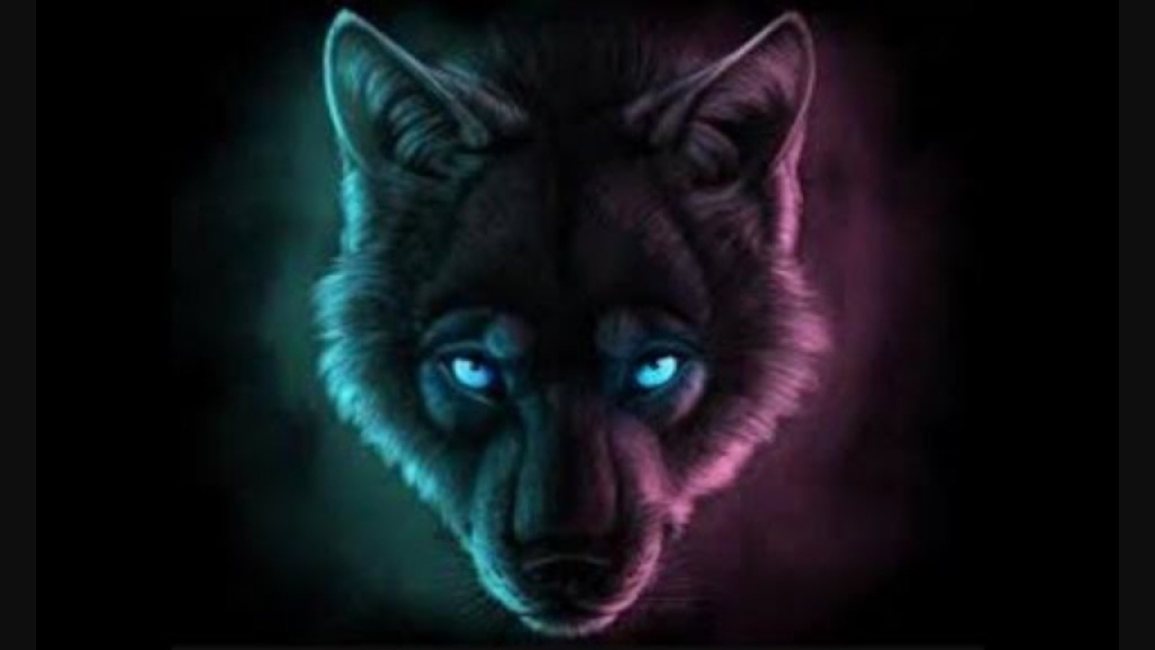 Cool Wolf Games Gaming