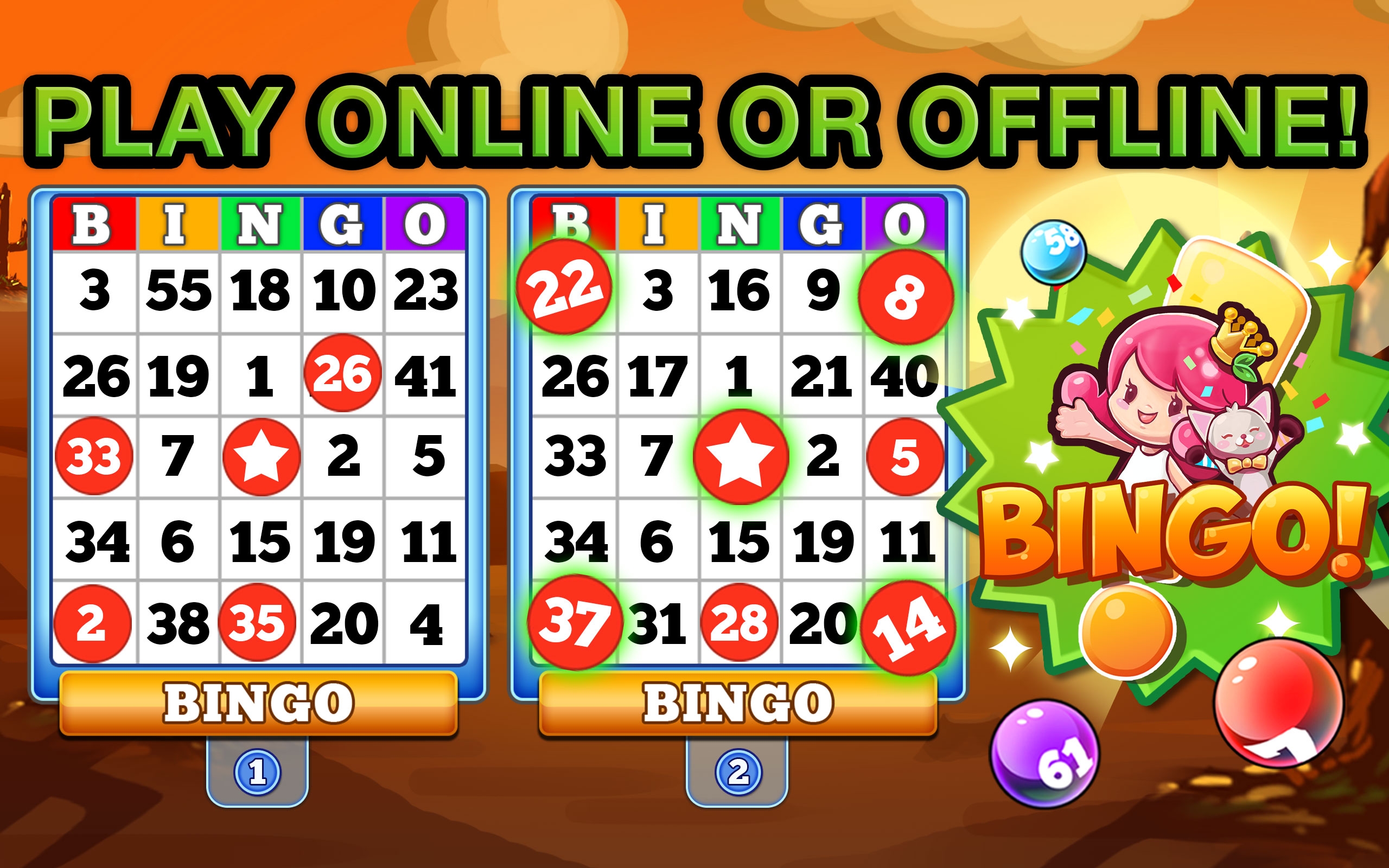 Bingo Online Live Gambling
