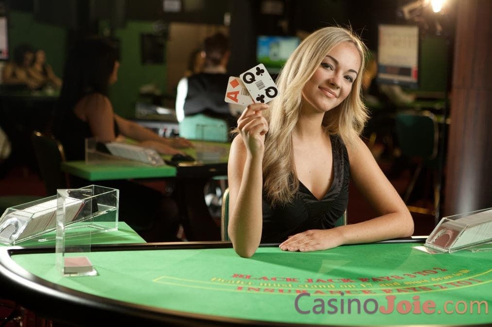 Live Dealers Casino Gambling
