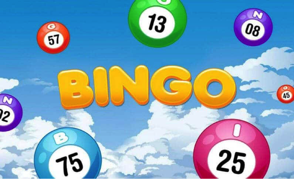 The Bingo: Latest New Sites Gaming