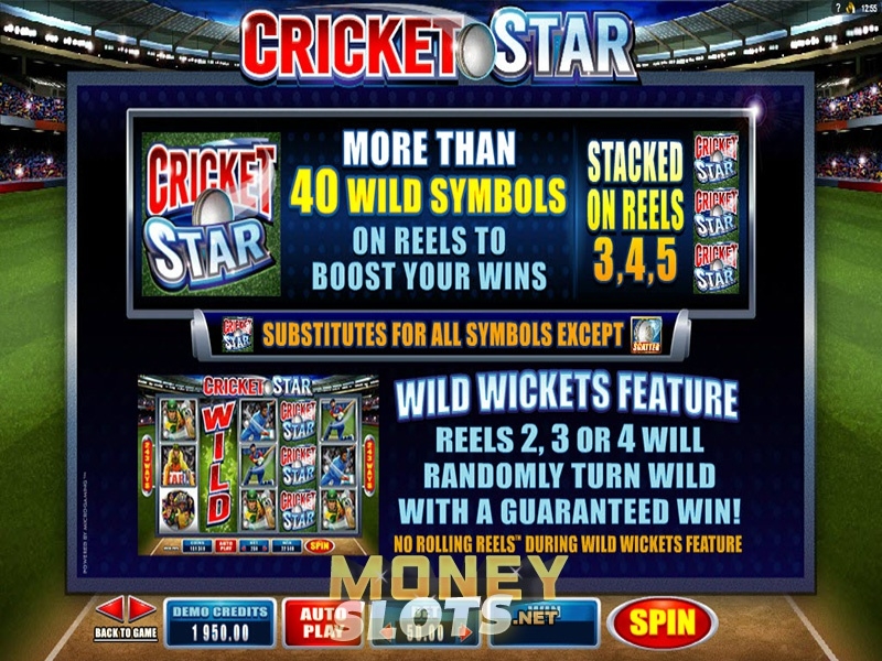 Cricket Star Slot Gaming
