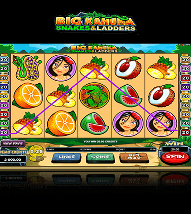 Big Kahuna Snakes Ladders Slots Gambling