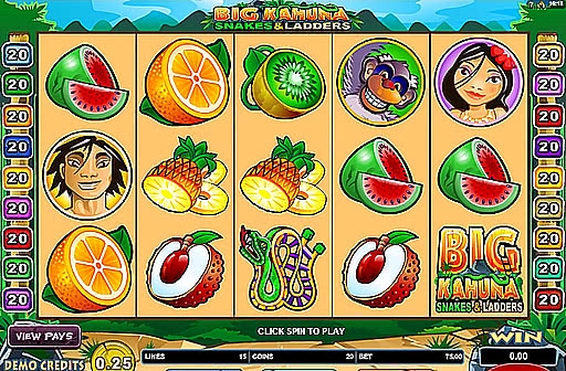 Big Kahuna Snakes Ladders Slots Gambling