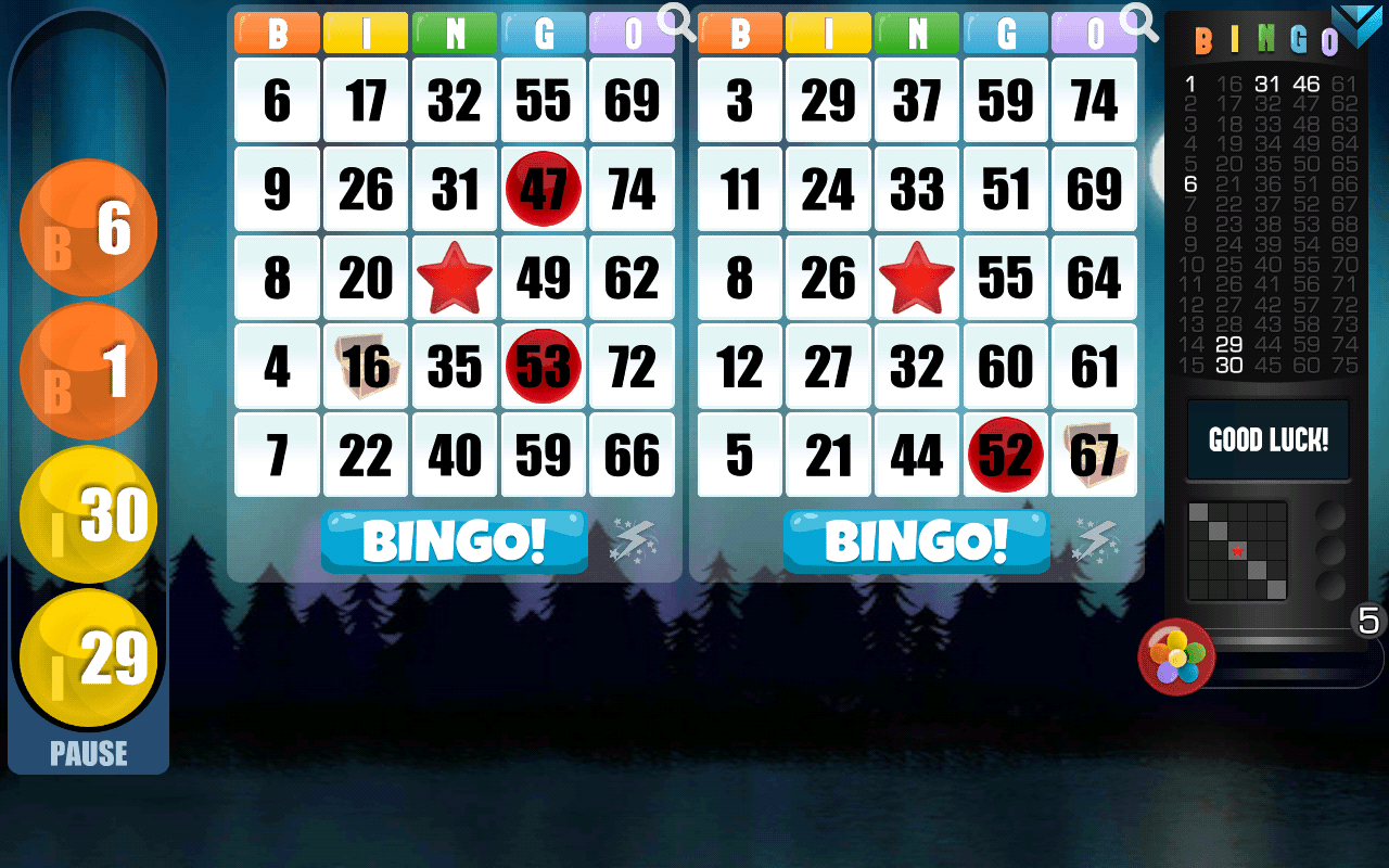 The Best Bingo Sites For 2021: Top 10 Gambling