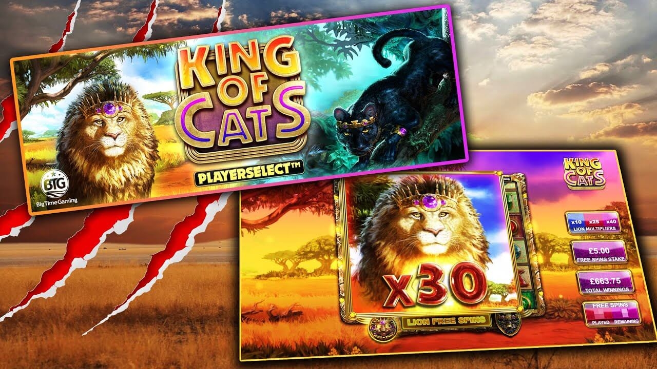 Meet The King Of Cats Slot A Fun And Exciting Way Gambling