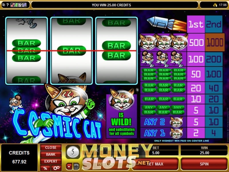 Cosmic Cat Slots Gambling