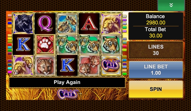 Cats Slot Mobile Casino Traffic Get Yours Gambling