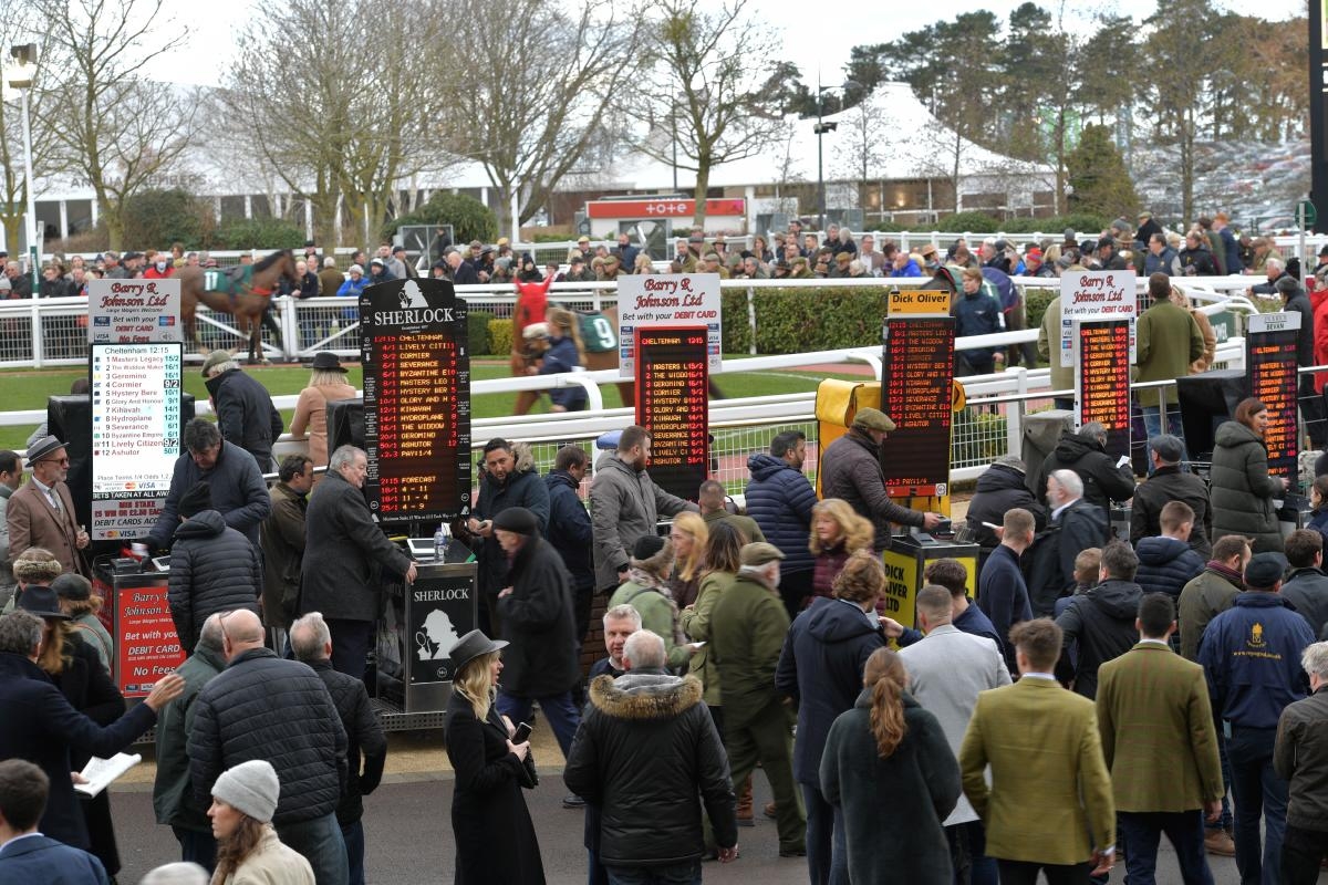 Cheltenham Free Bet Offers Gaming