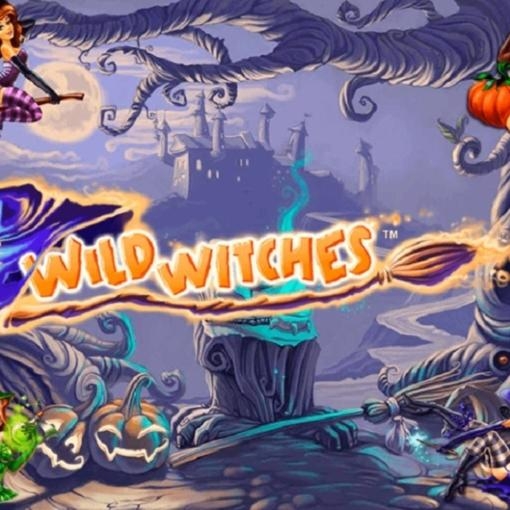 Wild Witches Real Money Gaming
