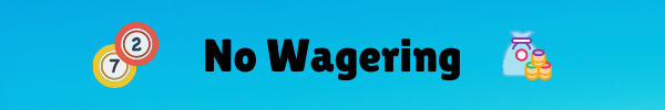 New Bingo Sites No Wagering Gaming