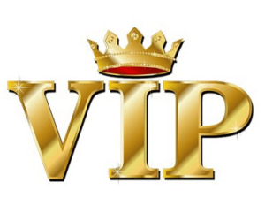 Vip Casino Bonus Gaming