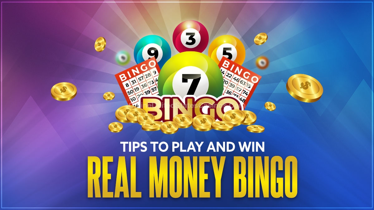 Money Bingo Online Gambling